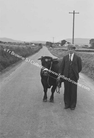 ROAD TO LOUGH TALT PRIZE BULL  P DURKIN  BONNCOULON